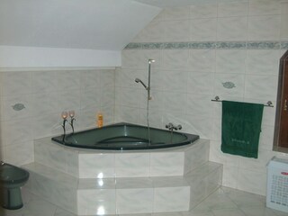 Casa de vacaciones Podgorzyn Características 17
