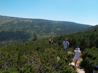 Ferienhaus Podgorzyn Umgebung 30