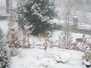 Ferienhaus Podgorzyn Außenaufnahme 4