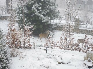 Vakantiehuis Podgorzyn Buitenaudio-opname 9