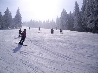 Ferienhaus Podgorzyn Umgebung 33