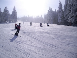 Ferienhaus Podgorzyn Umgebung 37
