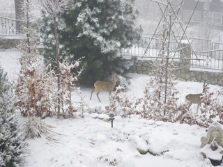 Casa de vacaciones Podgorzyn Grabación al aire libre 2
