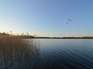 Villa Czaplinek Umgebung 33