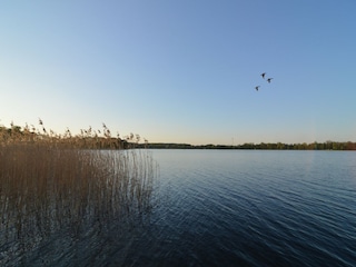 Villa Czaplinek Umgebung 38