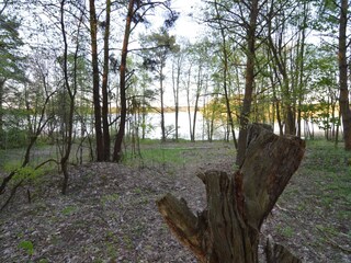 Villa Czaplinek Ambiente 38