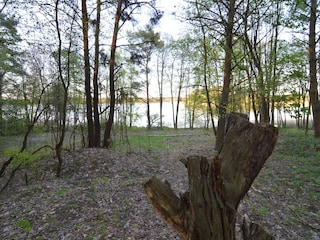 Villa Czaplinek Umgebung 37