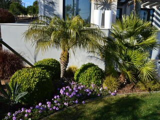 Villa Carvoeiro Buitenaudio-opname 11