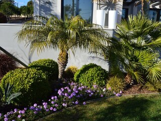 Villa Carvoeiro Grabación al aire libre 7