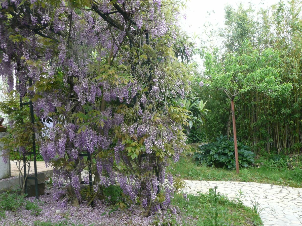 Bauernhof Paialvo Außenaufnahme 1