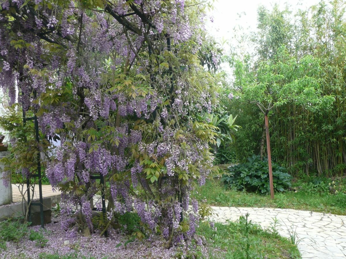 Casa de campo Paialvo Grabación al aire libre 1