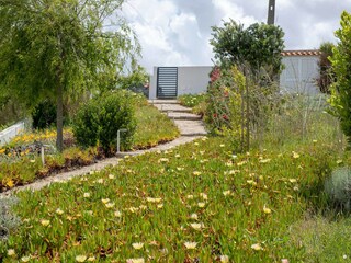 Villa Salir do Porto Grabación al aire libre 5