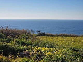 Villa Salir do Porto Entorno 36