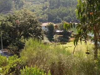Cottage Santa Comba Dão Outdoor Recording 3