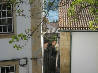 Vakantiehuisje Santa Comba Dão Omgeving 38