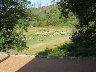 Casa de campo Santa Comba Dão Grabación al aire libre 8