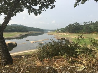 Type de propriété : Chalet Santa Comba Dão Environnement 31