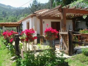 Ferienhaus Cottage auf dem Land mit Garten mit Grill - Ponte de Lima - image1