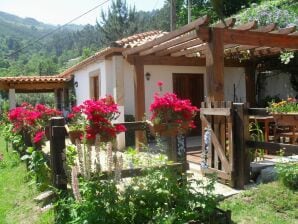 Maison de vacances Gîte rural avec jardin privé et barbecue à Ponte De Lima - Pont de Lima - image1