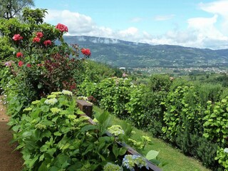 Cottage Ponte de Lima Außenaufnahme 12