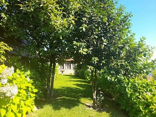 Cottage Ponte de Lima Außenaufnahme 3