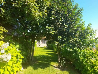 Vakantiehuisje Ponte de Lima Buitenaudio-opname 9