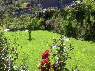 Cottage Ponte de Lima Außenaufnahme 13