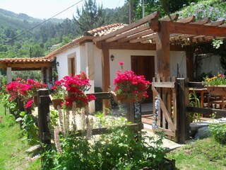 Vakantiehuisje Ponte de Lima Buitenaudio-opname 15