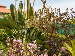 Holiday house Ponte de Lima Outdoor Recording 2