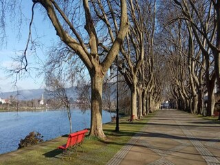 Ferienhaus Ponte de Lima Umgebung 23