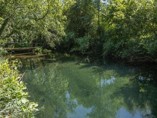 Casa per le vacanze Ponte de Lima Ambiente 29