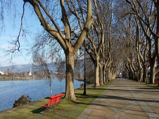 Casa per le vacanze Ponte de Lima Ambiente 22
