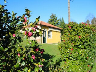 Cottage Ponte de Lima Außenaufnahme 13