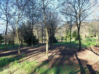 Casa de vacaciones Ponte de Lima Entorno 33