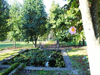 Casa vacanze Ponte de Lima Registrazione all'aperto 13