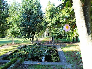 Maison de vacances Ponte de Lima Enregistrement extérieur 13