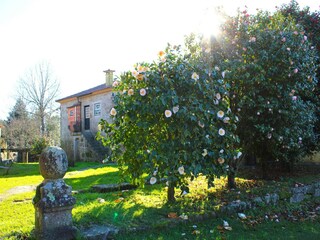 Cottage Ponte de Lima Außenaufnahme 6