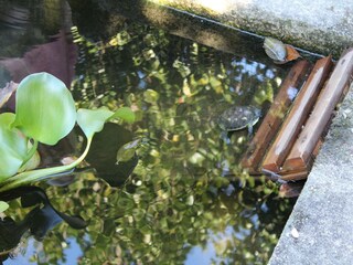 Casa vacanze Ponte de Lima  40