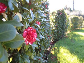 Cottage Ponte de Lima Außenaufnahme 6