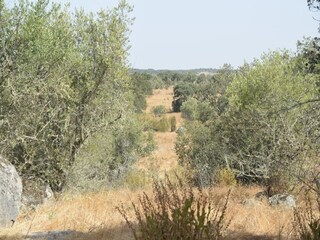 Villa Vimieiro Outdoor Recording 8