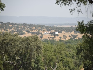 Villa Vimieiro Omgeving 34