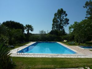 Vakantiehuis Geschakelde quinta met zwembad aan de rand van natuurgebied Serra de Monfurado - Montemor-o-Novo - image1