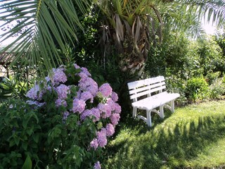 Casa de vacaciones Montemor-o-Novo Grabación al aire libre 14