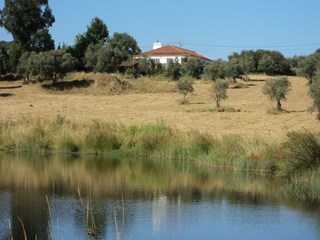 Vakantiehuis Montemor-o-Novo Omgeving 31