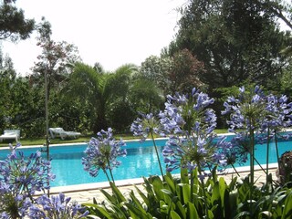 Vakantiehuis Montemor-o-Novo  38