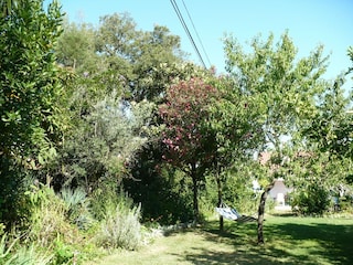 Ferienhaus Montemor-o-Novo Außenaufnahme 7