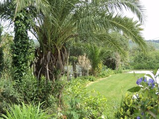 Holiday house Montemor-o-Novo Outdoor Recording 5