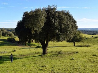 Vakantiehuis Montemor-o-Novo Omgeving 33