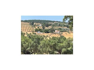 Casa per le vacanze Montemor-o-Novo  25