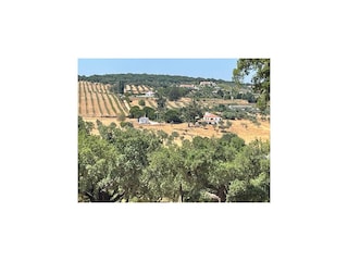 Holiday house Montemor-o-Novo  28
